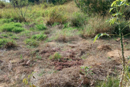 Terreno à venda em Monterrey, Louveira, SP