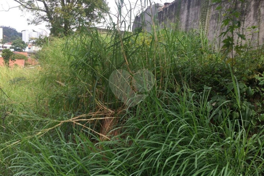 Terreno à venda em Tremembé, São Paulo, SP
