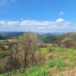 Área de Terra à venda com 1 suíte em Cocais, Itatiba, SP