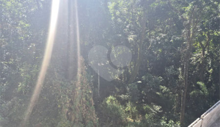 Terreno à venda no condomínio Alpes da Cantareira, Mairiporã - SP