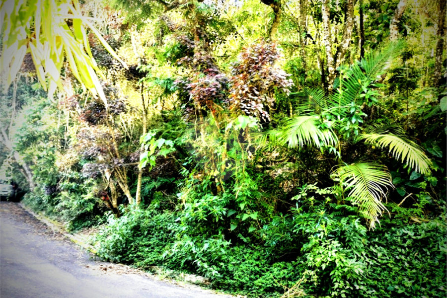Terreno à venda em Serra da Cantareira, Mairiporã, SP