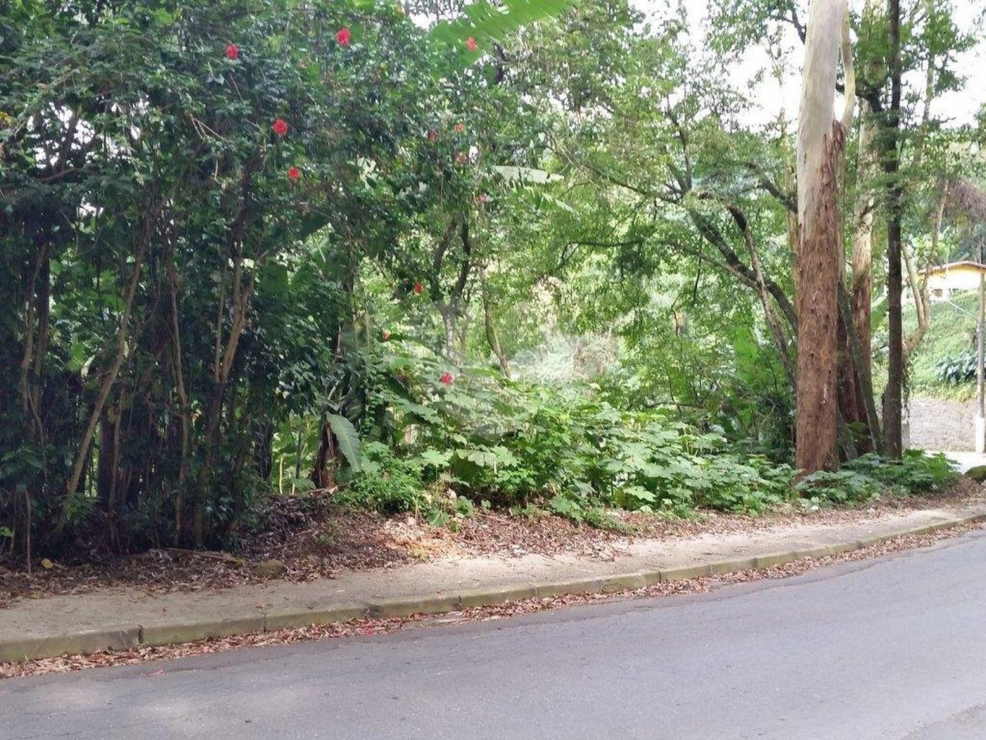 Terreno à venda em Tucuruvi, São Paulo, SP