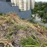Terreno à venda em Vila Nova Socorro, Mogi das Cruzes, SP