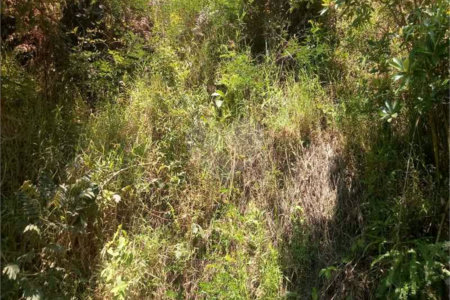 Terreno à venda em Vila São Paulo, Mogi das Cruzes, SP