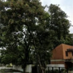 Terreno à venda em Jardim Morumbi, São Paulo, SP