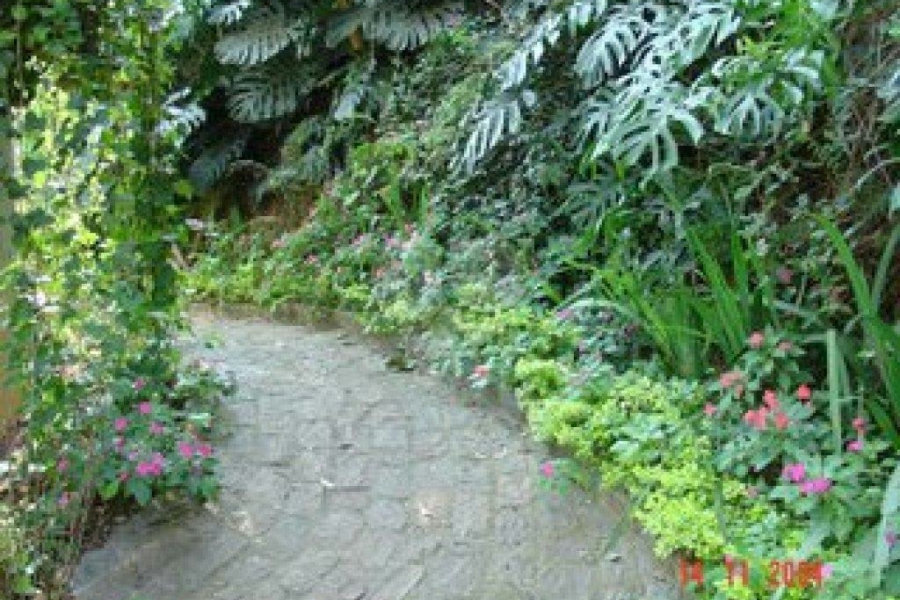 Casa à venda ou para alugar com 5 suítes em Jardim São Bento, São Paulo, SP