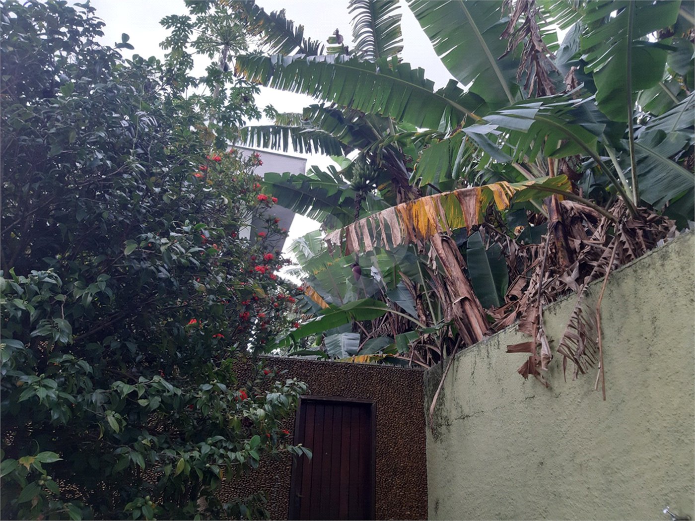 Terreno à venda em Vila Gustavo, São Paulo, SP