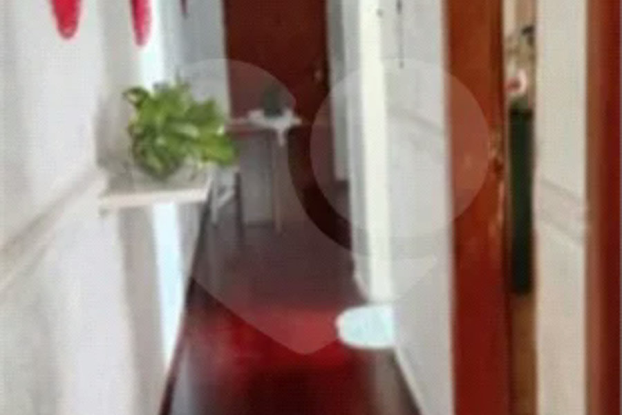 Apartamento à venda com 2 quartos em Mandaqui, São Paulo, SP