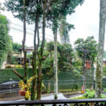 Casa à venda com 5 suítes em Fazenda Morumbi, São Paulo, SP