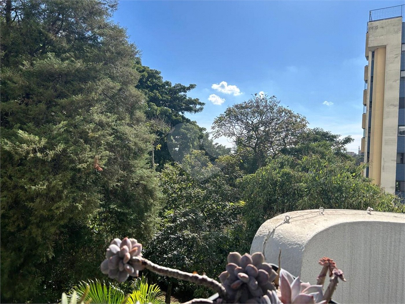 Apartamento à venda com 3 quartos em Vila Suzana, São Paulo, SP