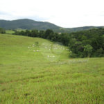 Fazenda à venda com 3 quartos em Cachoeirinha, Bom Jesus dos Perdões, SP