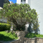 Apartamento para alugar com 3 quartos, sendo 1 suíte,  em Pinheiros, São Paulo, SP