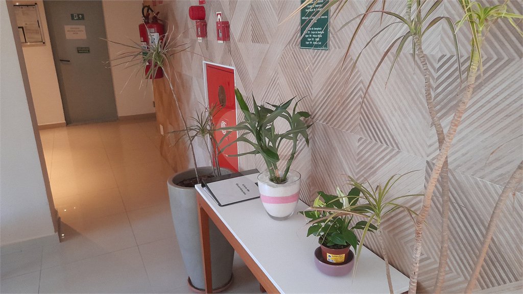 Apartamento à venda ou para alugar com 1 quarto em Santana, São Paulo, SP