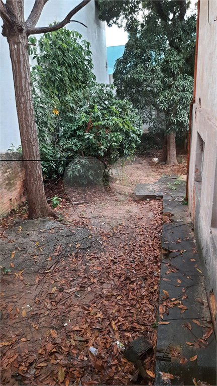 Terreno à venda com 1 suíte em Vila Gustavo, São Paulo, SP