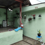 Casa Térrea à venda com 2 quartos em Parque Peruche, São Paulo, SP