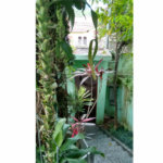 Casa Térrea à venda com 3 quartos, sendo 1 suíte, em Tucuruvi, São Paulo, SP