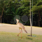Terreno à venda no condomínio Up Residencial, Votorantim - SP