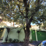 Sobrado para alugar com 4 suítes em City América, São Paulo, SP