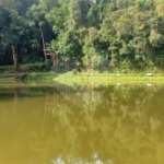 Chácara à venda com 5 quartos em Rio Acima, Mairiporã, SP