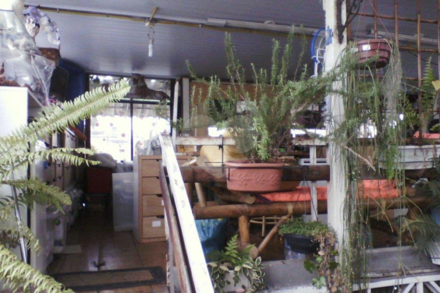 Prédio à venda em Água Fria, São Paulo, SP