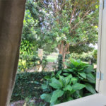 Casa à venda com 4 quartos, sendo 2 suítes, no Centro, Santa Cruz Cabrália, BA