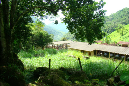 Fazenda à venda com 7 quartos, sendo 3 suítes, em Professor Souza, Casimiro de Abreu, RJ