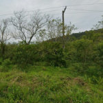 Terreno à venda, 10000 m² por R$ 8.500.000,00 - Cing - Guarujá/SP