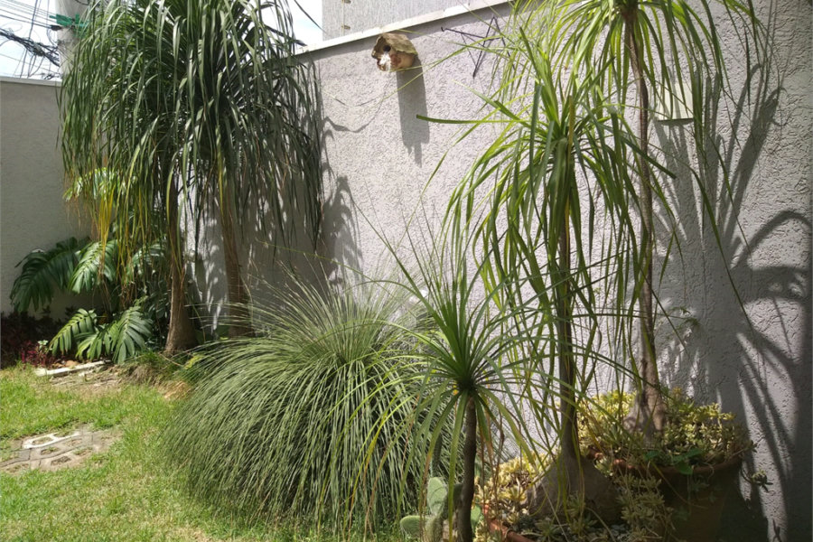 Sobrado à venda com 3 suítes em Santana, São Paulo, SP