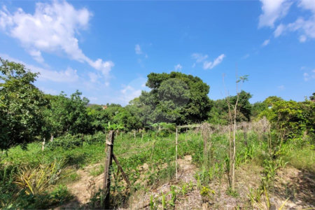 Chácara à venda com 4 quartos, sendo 1 suíte, em Área Rural de Salto, Salto, SP