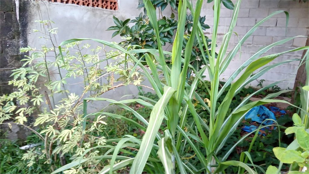 Terreno à venda em Vila Guarani (z Sul), São Paulo, SP