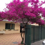 Casa Térrea à venda com 4 quartos, sendo 1 suíte, em Parque Mandaqui, São Paulo, SP