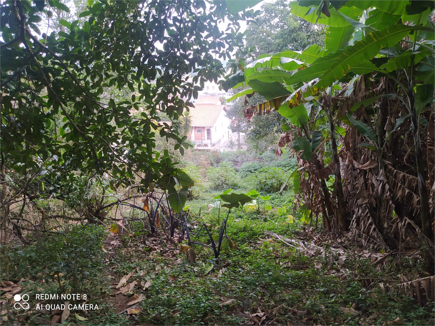 Terreno à venda com 3 quartos, sendo 1 suíte, em Tremembé, São Paulo, SP