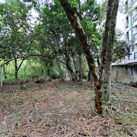 Terreno à venda em Jardim Ampliação, São Paulo, SP