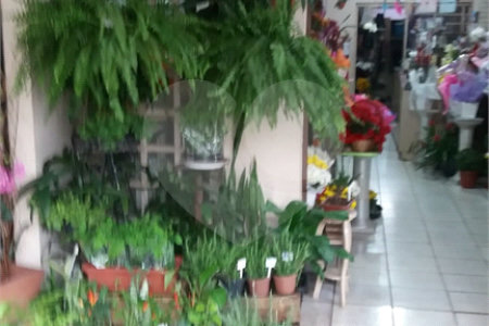 Loja à venda com 3 quartos em Vila Albertina, São Paulo, SP