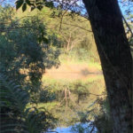 Chácara à venda com 3 quartos, sendo 1 suíte, no Centro (canguera), São Roque, SP