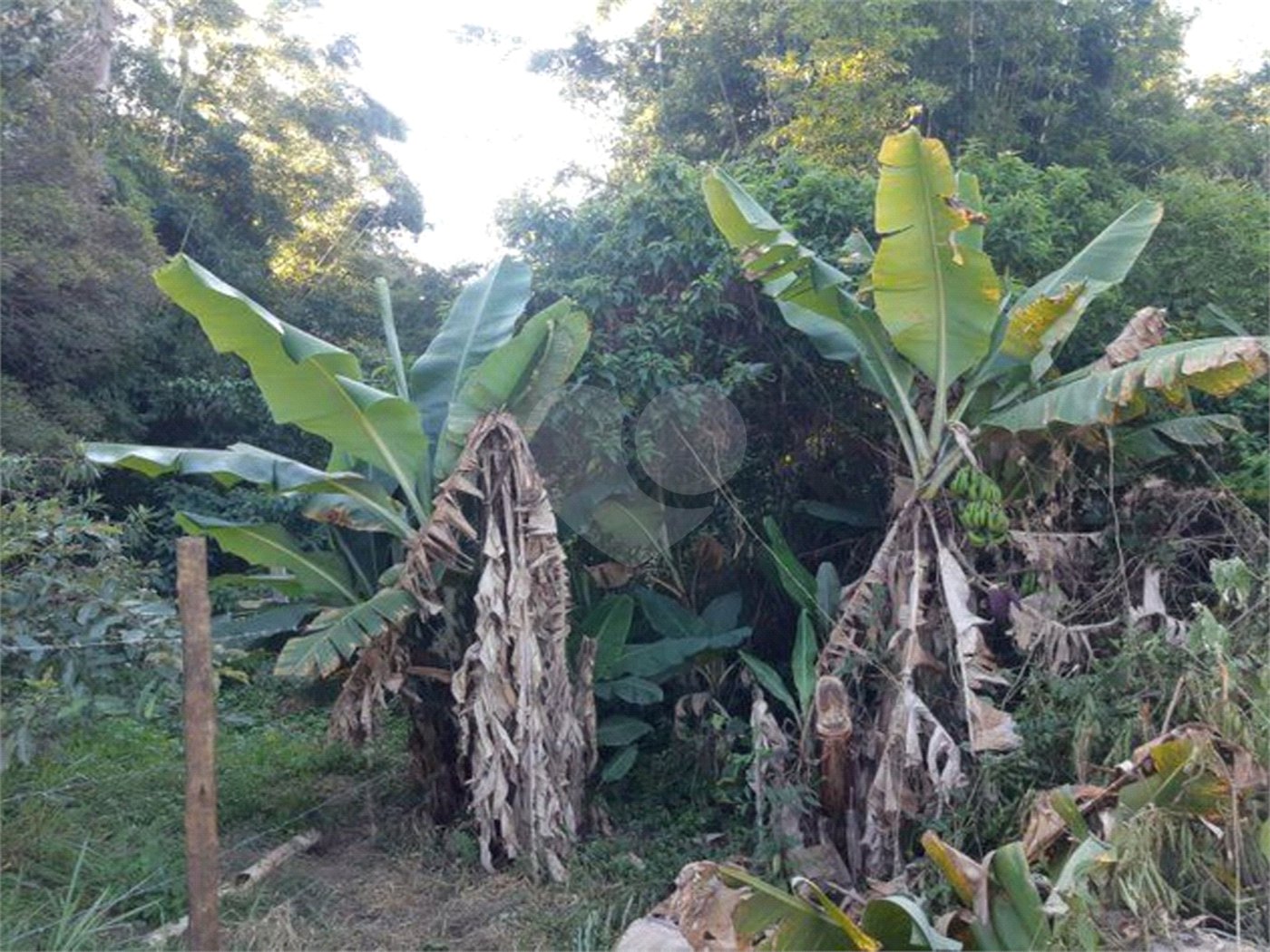 Terreno à venda em Taboão, São Roque, SP
