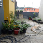 Casa à venda com 2 suítes em Jardim Layr, Mogi das Cruzes, SP