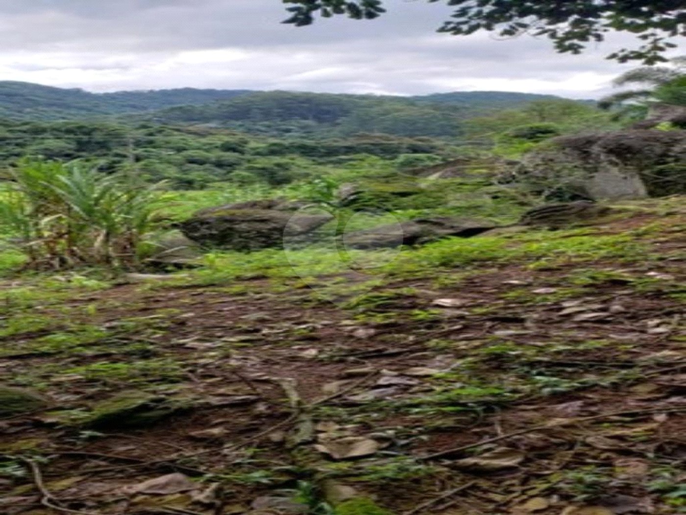 Terreno à venda em Horto, São Paulo, SP