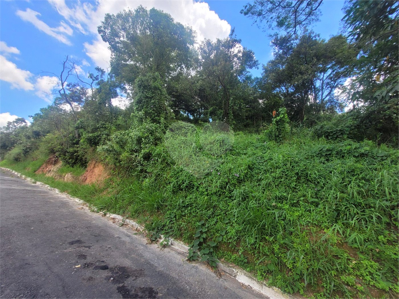 Terreno à venda em Parque Rizzo, Cotia, SP