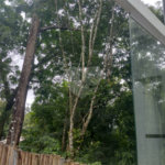 Casa à venda com 2 quartos, sendo 1 suíte, em Serra da Cantareira, Mairiporã, SP