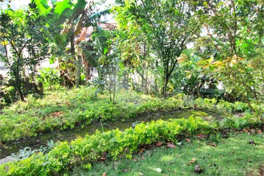 Sobrado à venda com 6 quartos, sendo 4 suítes, em Vila Albertina, São Paulo, SP