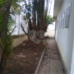 Casa Térrea à venda com 4 quartos, sendo 1 suíte, em Vila Rosália, Guarulhos, SP