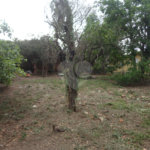 Terreno à venda em Pinheirinho, Vinhedo, SP