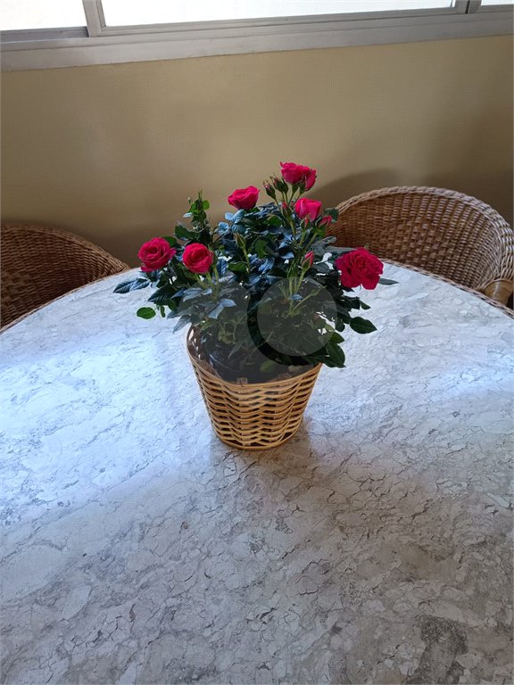 Apartamento à venda com 2 quartos em Vila Butantã, São Paulo, SP
