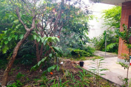 Casa Térrea à venda com 3 quartos, sendo 1 suíte, em Vila Cordeiro, São Paulo, SP