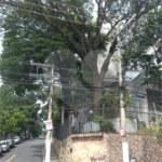 Apartamento à venda com 4 quartos, sendo 3 suítes,  em Tremembé, São Paulo, SP