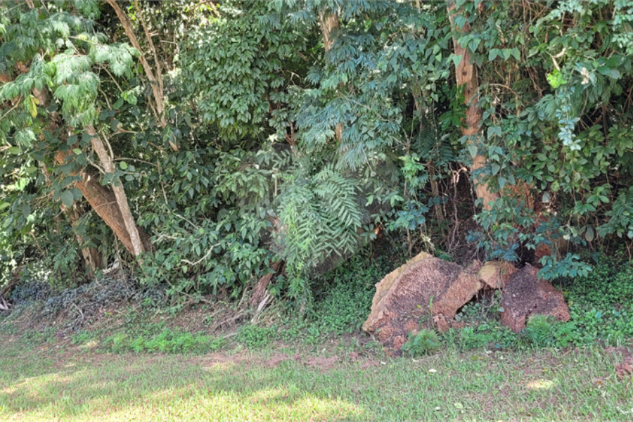Terreno à venda no condomínio Associação Reserva das Hortênsias, Mairiporã - SP