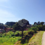 Terreno à venda em Observatório, Vinhedo, SP