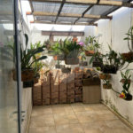 Casa à venda com 2 suítes em Jardim Aclimação, Araraquara, SP