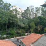 Sobrado à venda com 2 quartos em Parque Mandaqui, São Paulo, SP